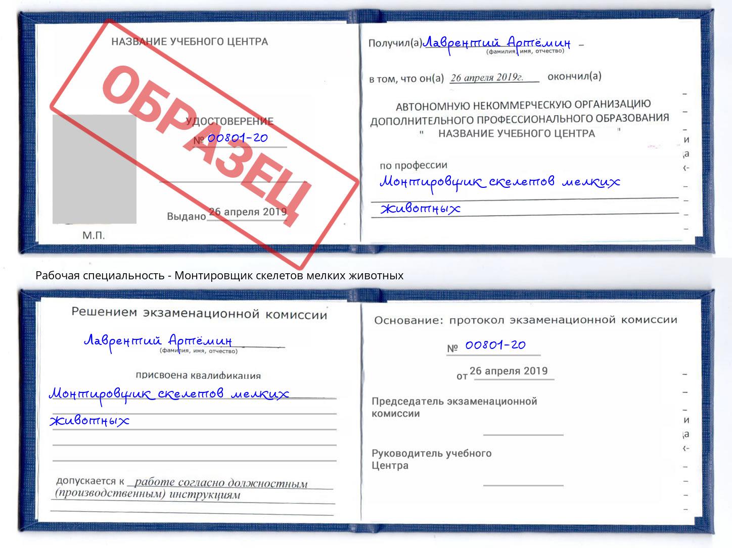 Монтировщик скелетов мелких животных Истра