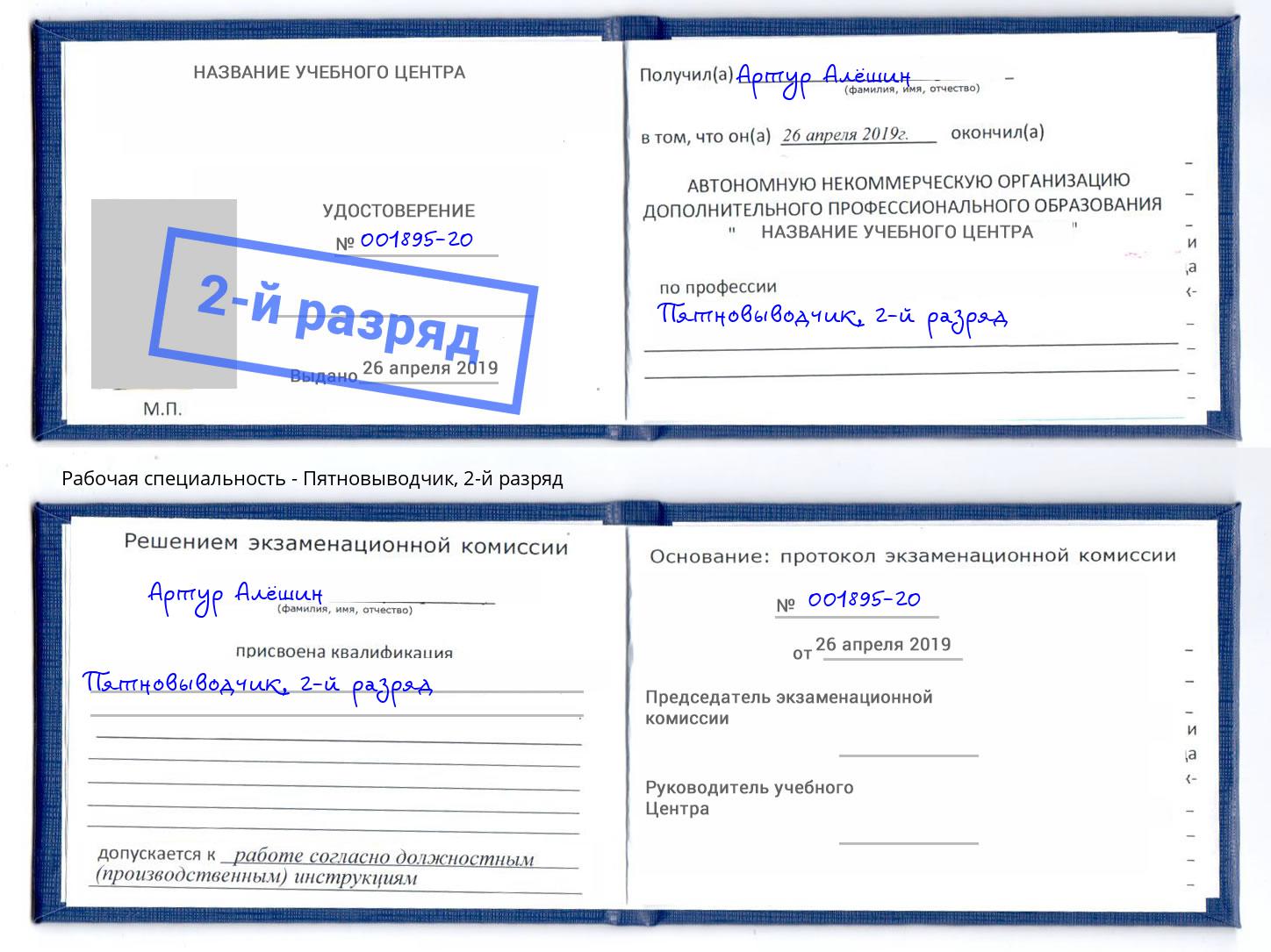 корочка 2-й разряд Пятновыводчик Истра