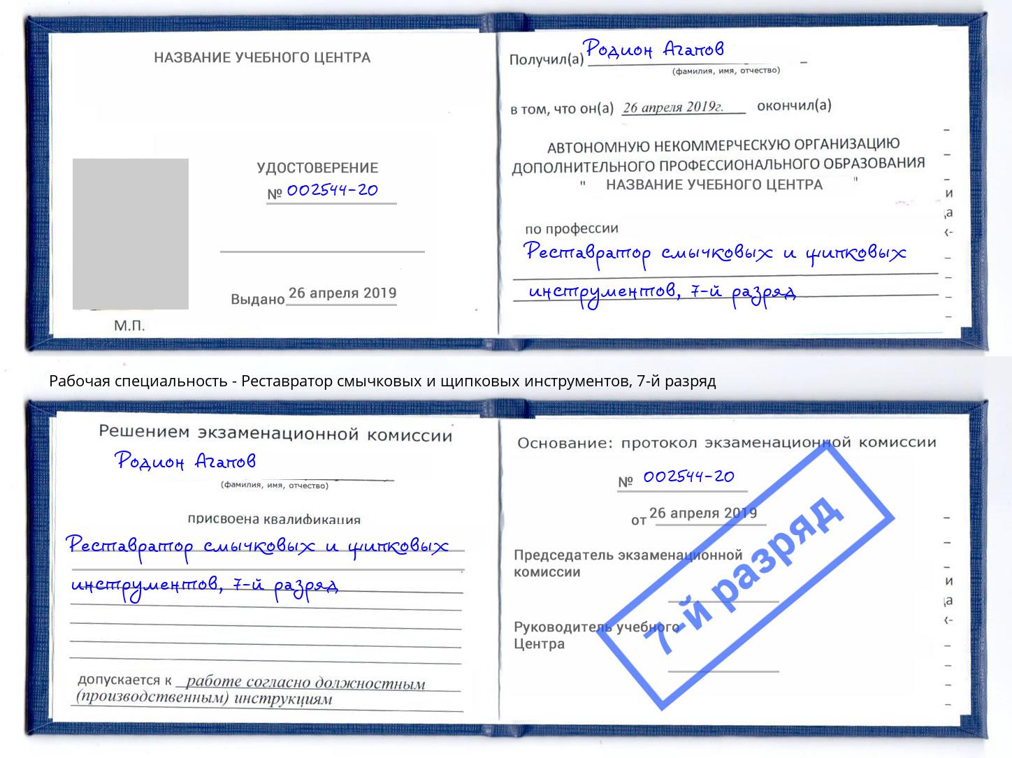 корочка 7-й разряд Реставратор смычковых и щипковых инструментов Истра