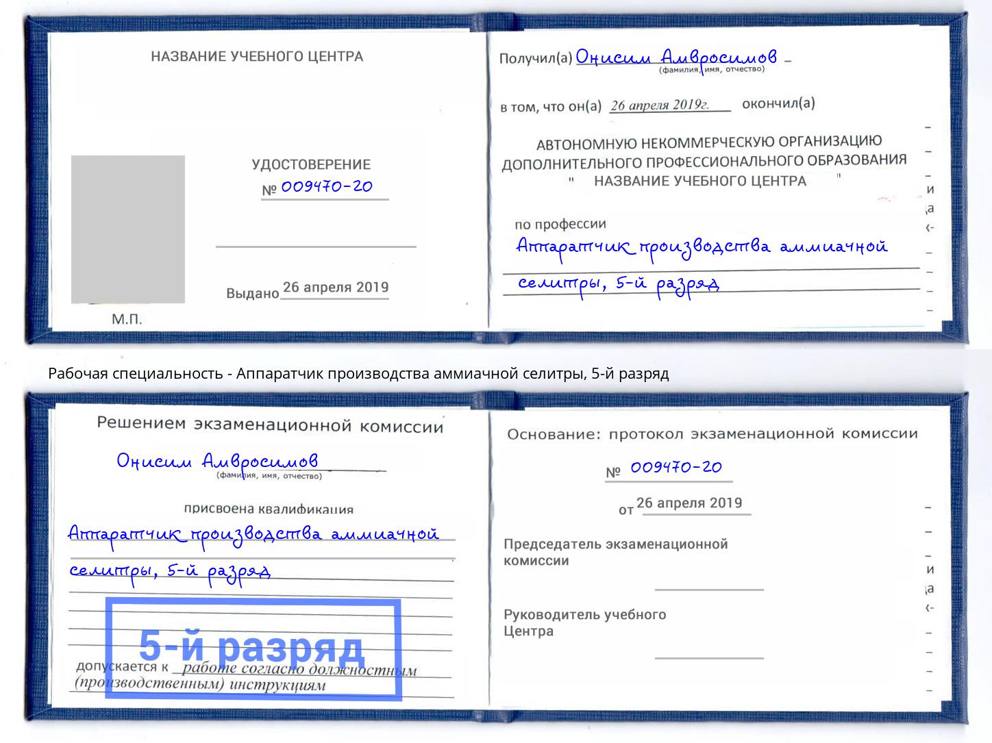 корочка 5-й разряд Аппаратчик производства аммиачной селитры Истра