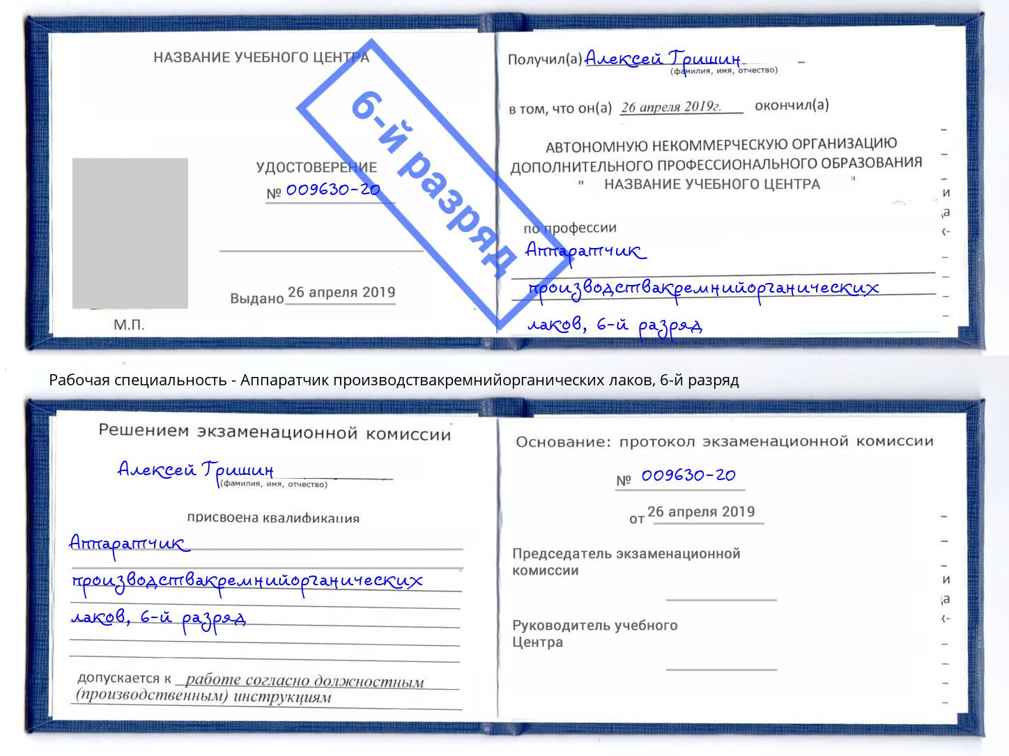 корочка 6-й разряд Аппаратчик производствакремнийорганических лаков Истра